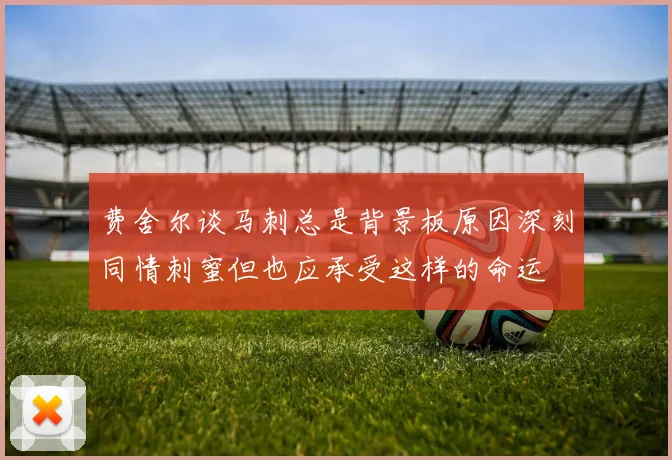 费舍尔谈马刺总是背景板原因深刻同情刺蜜但也应承受这样的命运